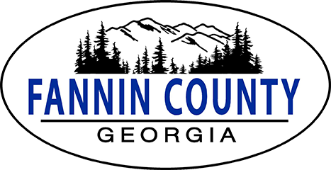 Fannin County Georgia Government